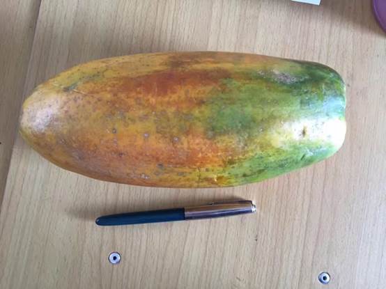 說(shuō)明: 141_32063_b58f9bc31cb0390